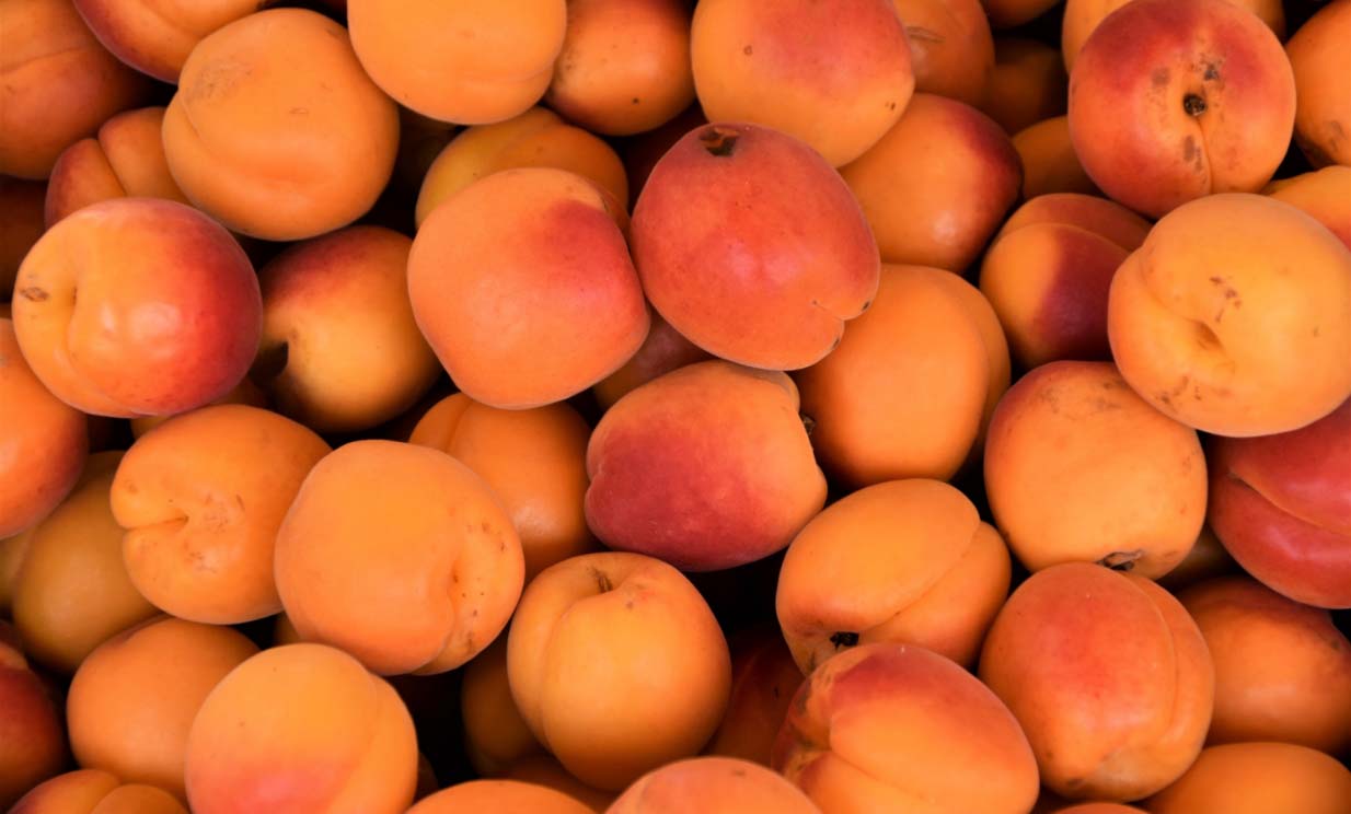 upcycled apricots