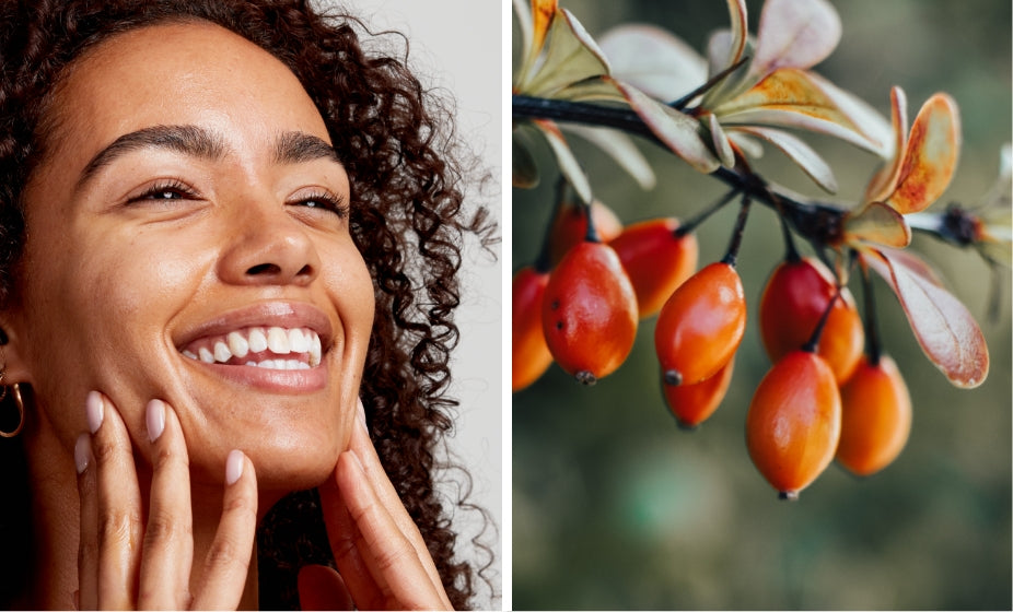 History of rosehip oil